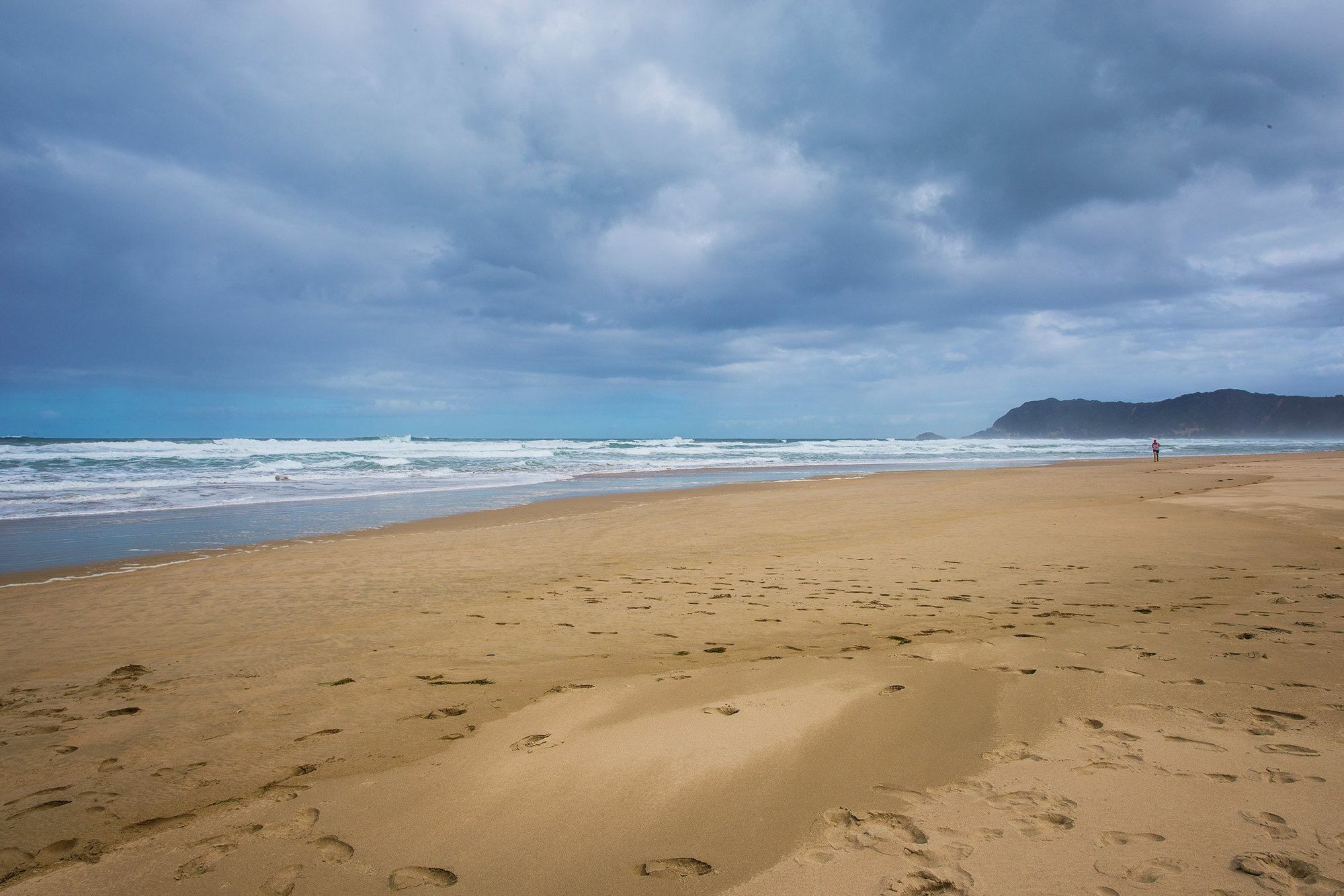 Shearwater On Sea Hotel Sedgefield Bagian luar foto